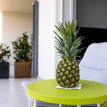 Sunshine House With Free Parking Apartment Makarska