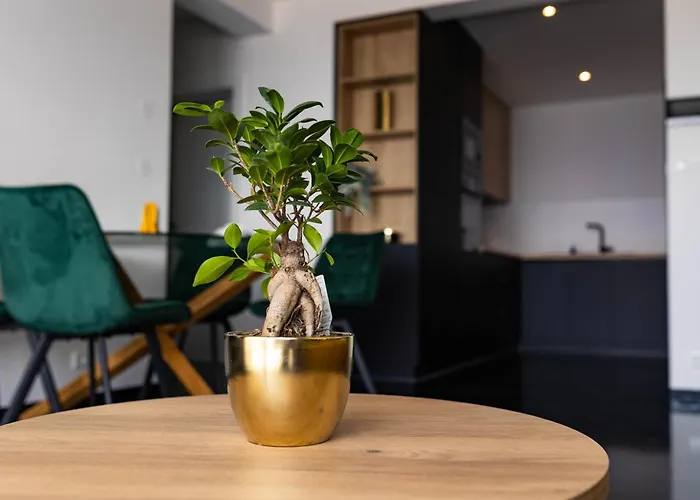 Sunshine House With Free Parking *