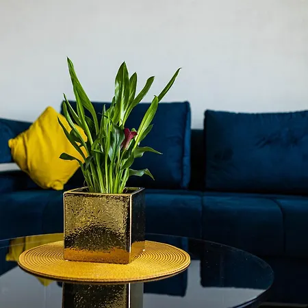 Sunshine House With Free Parking