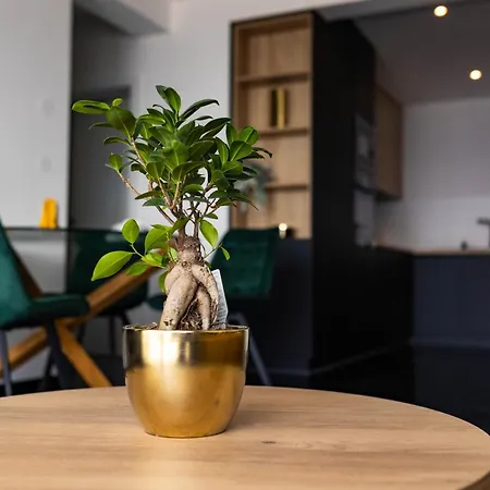 Sunshine House With Free Parking *